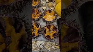 Устрицы и морские ежи не дорого