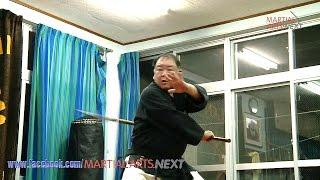 Matayoshi Kobudo.