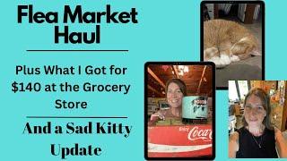 Weekly Vlog! | $140 Grocery Haul + Flea Market Finds | Sad News About My Sweet Cat