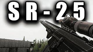 SR-25 Main Build - Escape From Tarkov