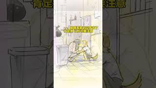 物質上我養了它精神上它治癒了我，這大概就是養寵物的意義吧。#治癒系 #狗狗的心思都寫在臉上了 #狗狗 #狗是人類最忠誠的朋友 #小狗的愛是永遠的