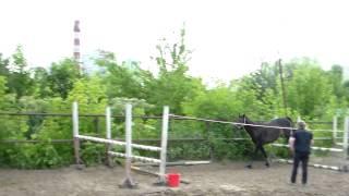Конхарт 16.07.15 1