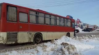 Автобусы Железногорска ( Ikarus 256, ЛиАЗ 5256 и другие )