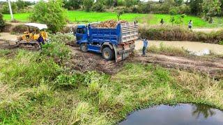 Perfect Start New Project! Dump Truck 5Ton filling land next to canal,Skillful Dozer D2 Pushing soil