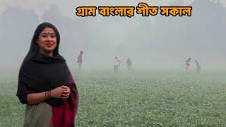 বগুড়ার কোমারপুরের শীত সকাল || Panorama Documentary