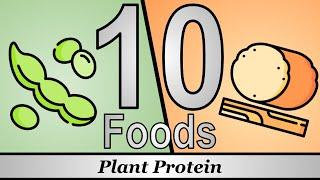 10 Foods - Plant Proteins