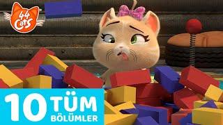 44 Kedi | 10 Bölümün tamamı  | Kedikulade 1. Sezondan Derleme #3