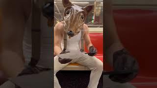 Devon Rodriguez -  @Jonothon Lyons  #DevonRodriguez #short