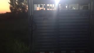 2015 Travalong stock Combo (outside)