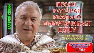 ПЕСНЯ, КОТОРАЯ РЕАЛЬНО ВЫВОРАЧИВАЕТ ДУШУ! "Старые сосны, берёзки да ели". Поёт Валерий Сёмин.