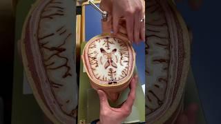 what is inside the brain ? brain anatomy model |Medico| #shorts #mbbs #neet #anatomy