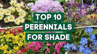 10 Beautiful Perennial Flowers for Shady Gardens!  // PlantDo Home & Garden