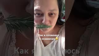 Розмарин улучшает концентрацию и память, снижает уровень стресса#розмарин#лечебныетравы#стресс#herbs