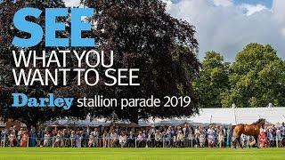 The 2019 Darley stallion parade at Dalham Hall stud