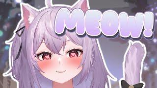 【ASMR】Meow~! Kitty Cuddles, Cute Sounds, Soft Triggers & Tapping Dreamland ️ 2 Hours