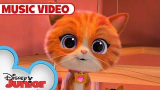 Astro-Cat!  | Music Video | SuperKitties | @disneyjr​