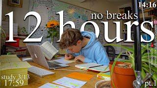 LIVE | 12-HOUR study with me WITHOUT BREAKS (part.1)  rain & thunder sounds