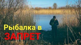 Рыбалка в запрет! Ладожский канал/май 2023 #рыбалка #запрет #щука