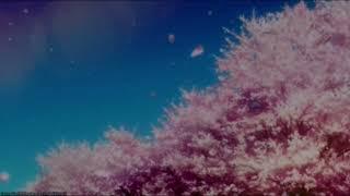 Tyler Shaw - Love You Still (abcdefu romantic version) (𝚂𝚕𝚘𝚠𝚎𝚍 & 𝚁𝚎𝚟𝚎𝚛𝚋)...𝘣𝘺 𝘔𝘦𝘭𝘰𝘯𝘺