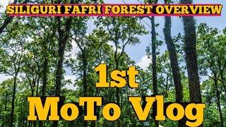 Siliguri Fafri Forest Overview with #motovlog #siliguri #siliguritour #bengalivlogs #motovlogger