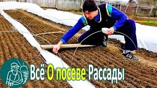  All About Sowing Seedlings by Technology Gordeev | Growing Seedlings in a Homemade Greenhouse