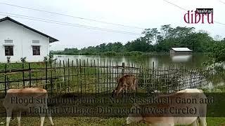 Flood situation  in Dibrugarh