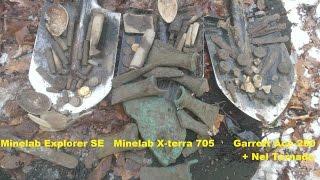 Коп в лесу. Клад Бронзового Века  Minelab Explorer SE  Metal detecting in forest. Treasure Bonze Age