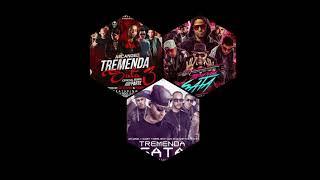 Tremenda Sata Remix (1,2,3)