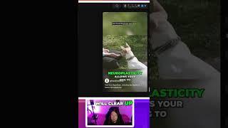 Create Viral YouTube Videos with Opus Clip AI | Boost Your Content Creation Game!
