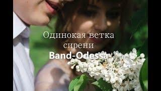 Одинокая ветка сирени - BAND ODESSA