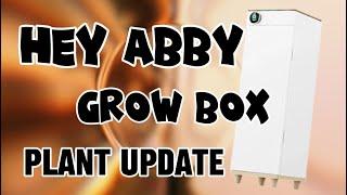 Week 5 Indoor Plant Growth Update | Hey Abby Grow System Review