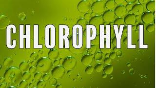 Chlorophyll