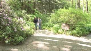 Touring a Woodland Garden