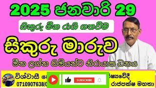 සිකුරු මාරුව | ජනවාරි 29