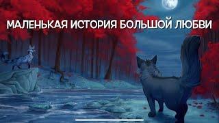 Маленькая история Большой любви к Вселенной «Коты-воители»