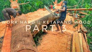 AMAZING‼️ PART 3 PROSES PENGOLAHAN BALOK DAN PAPAN DARI KAYU KETAPANG || STIHL 070