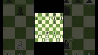 Max Euwe Brilliancy #chess #chesscom #gothamchess