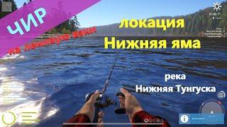 Русская рыбалка 4 - река Нижняя Тунгуска - Чир на ленивую вэки
