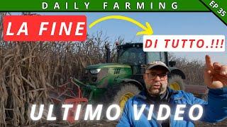 ** ULTIMI LAVORI AGRICOLI 2024 ** | SEMINA PISELLO PROTEICO | TRINCIATURA MAIS ALLUVIONATI