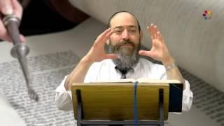 Rabbi David Kaplan - Weekly Torah Portion: Tetzaveh - Part 1