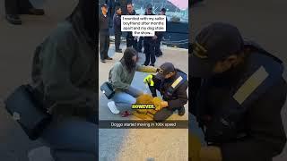 Dog Ruined Their Reunion  #shorts #pets