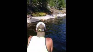 Baby deer saved on rock ledge in the French river