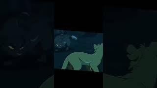 Аоаоао он шикврин #котывоители #warriorcats #edit #рек #shorts