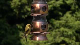 Perky-Pet® Select-A-Bird Tube Feeder Instructional Video | Tube Bird Feeder