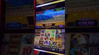 #casinowins #slot #buffaloslot #casinogames #casinoluck