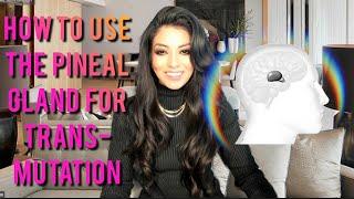 Day 8- How to use Pineal gland for Transmutation - 30 Days Alchemical Transformation to 2023