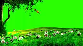 Tree Green Screen Video | Royalty Free Green Screen Background | Flower Field, Grass Ground HD