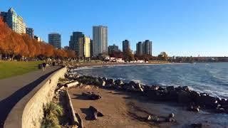 EnglishBay