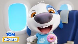 ️ Pilot Hank & More  Talking Tom Shorts (S2 Episode 53)