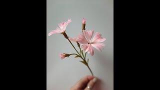 МК Полевая гвоздика из холодного фарфора Cold Porcelain Field Carnation